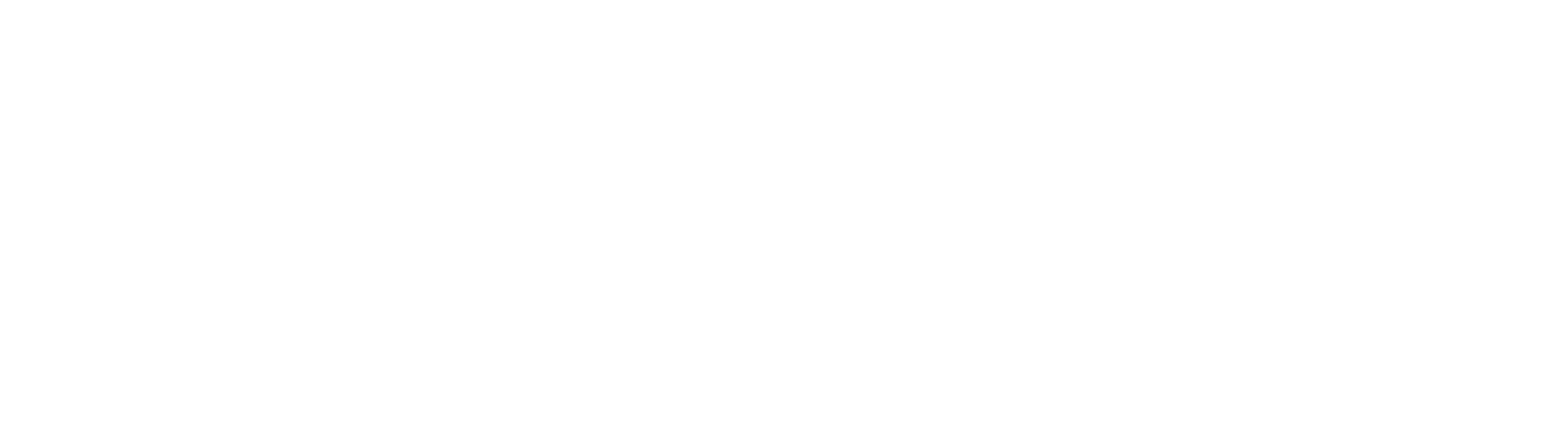 Dojima Network Logo
