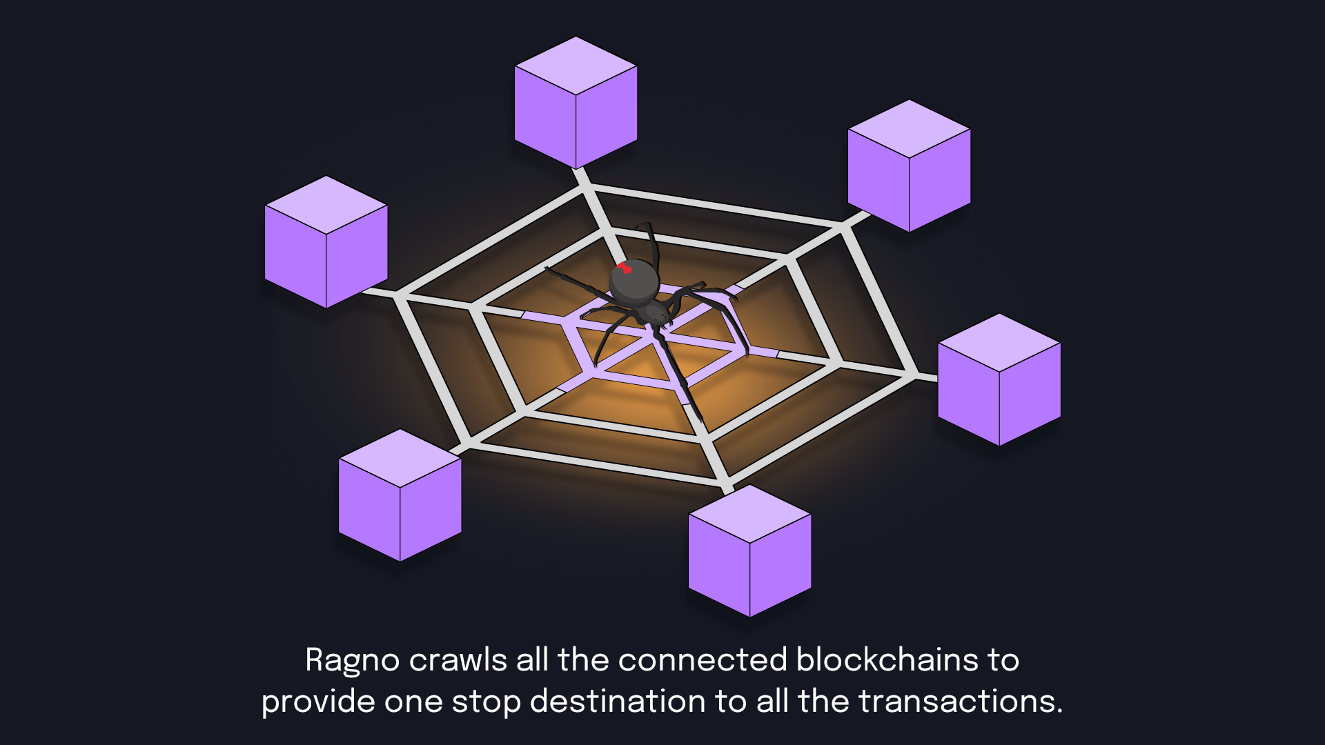 Ragno Network indexes blockchain transactions across multiple chains